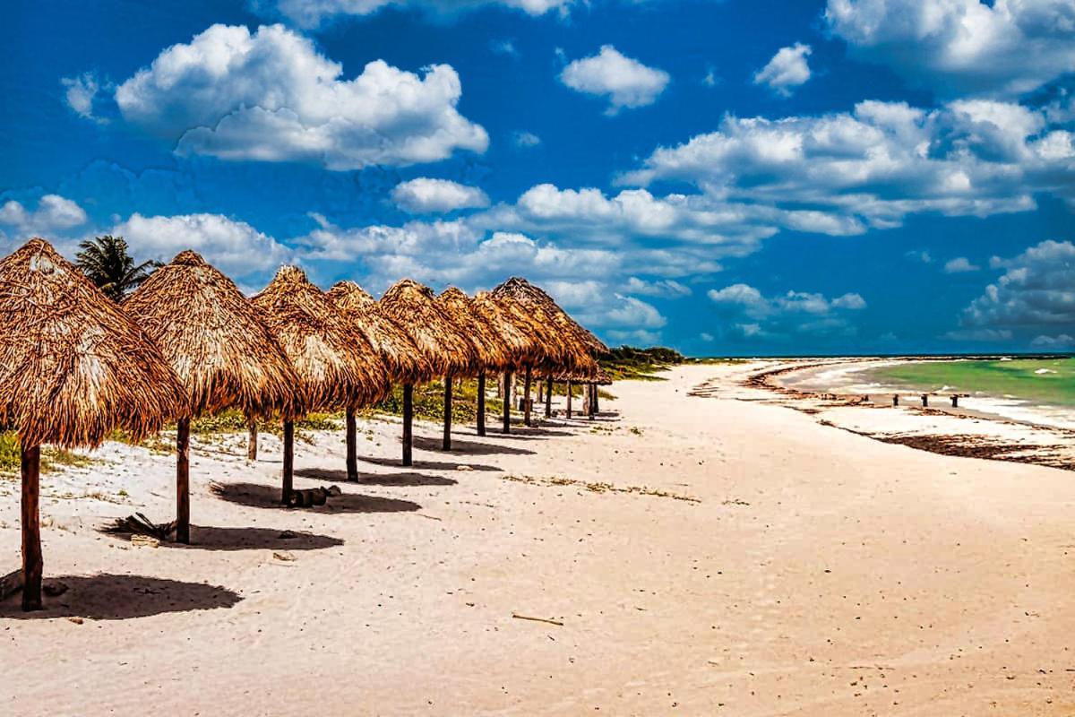 Beachfront Apartment Hacienda DЕл Куйо Екстериор снимка